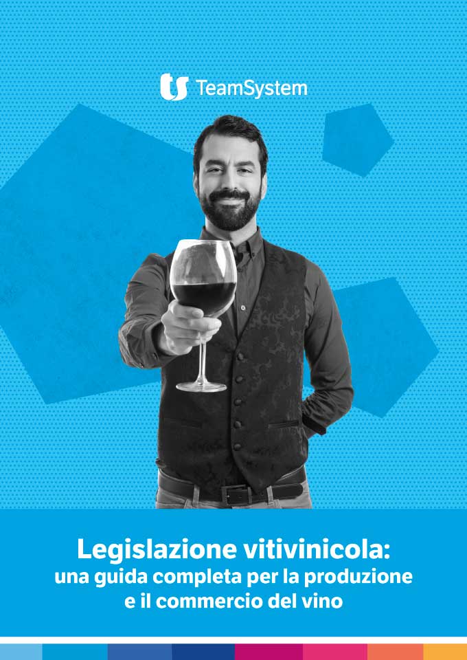 Legislazione vitivinicola una guida completa per la produzione e il commercio del vino